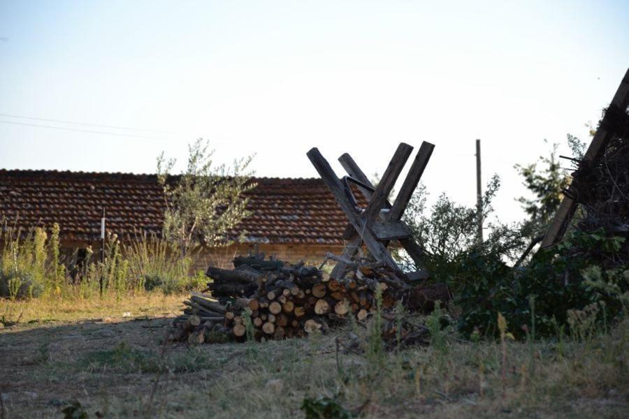 Perugia Farmhouse Villa Kültér fotó