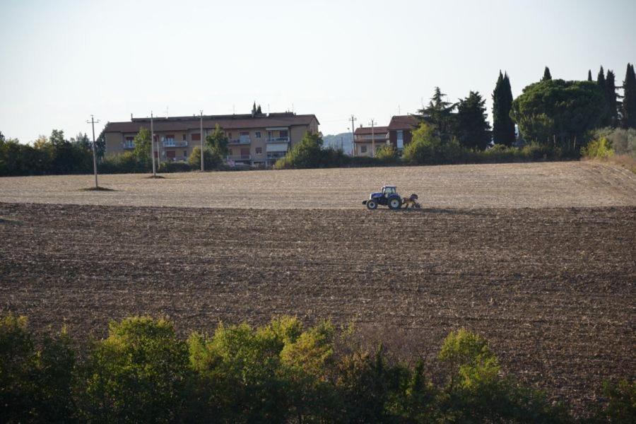 Perugia Farmhouse Villa Kültér fotó